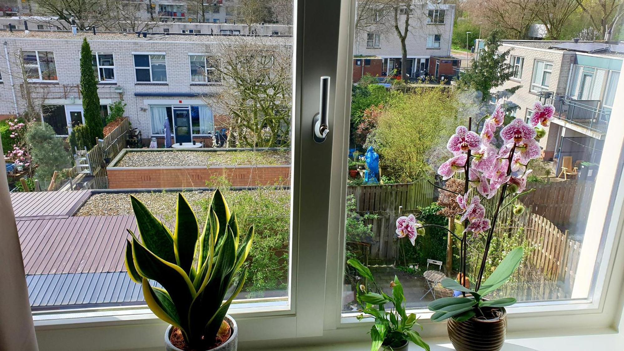 Amor Guesthouse Amsterdam Ngoại thất bức ảnh